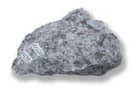 M 02577
<br/>
<br/>
<em></em>